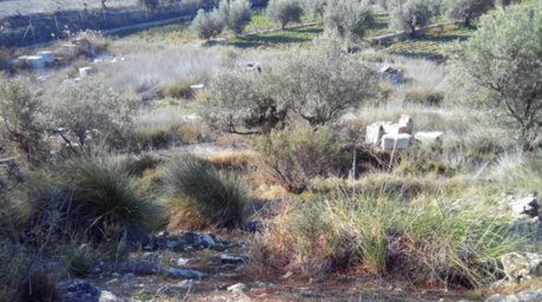 Murcia - Calasparra - 1148m2