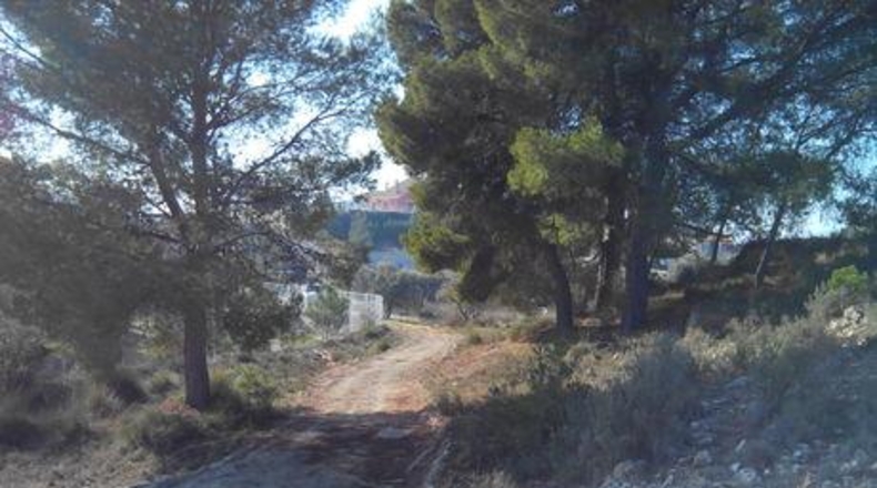 Murcia - Calasparra - 1148m2