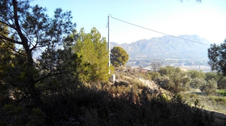 Murcia - Calasparra - 1148m2