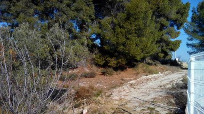 Murcia - Calasparra - 1148m2