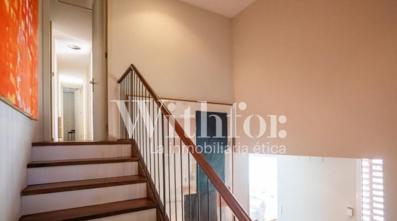 Barcelona - Esplugues de Llobregat - 390m2