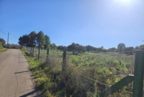 la Vall d'Alba 8409&nbsp;m² 