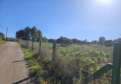 Land suitable for development for sale on España, la Vall d'Alba, ref: TR364866 photo