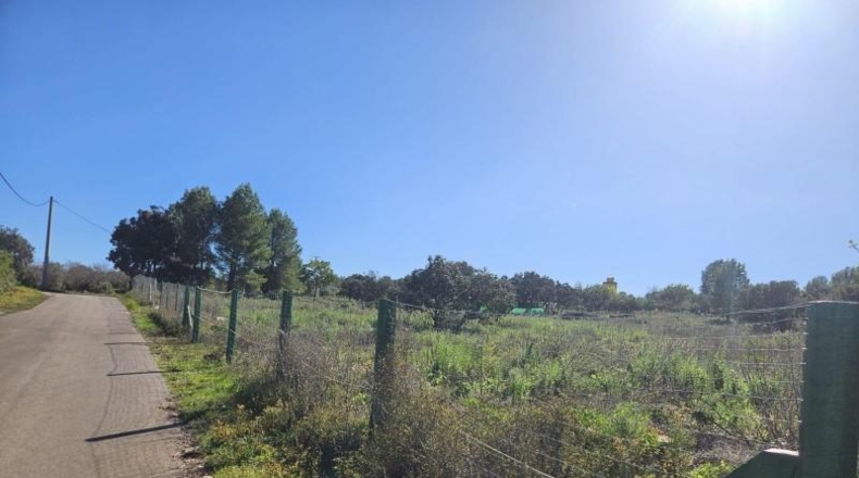 Castellón - Vall d'Alba - 8409m2