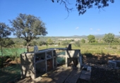 Land suitable for development for sale on España, la Vall d'Alba, ref: TR364866 photo