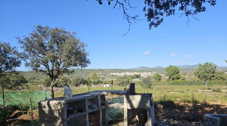 Castellón - Vall d'Alba - 8409m2
