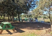 Land suitable for development for sale on España, la Vall d'Alba, ref: TR364866 photo