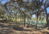 Land suitable for development for sale on España, la Vall d'Alba, ref: TR364866 photo