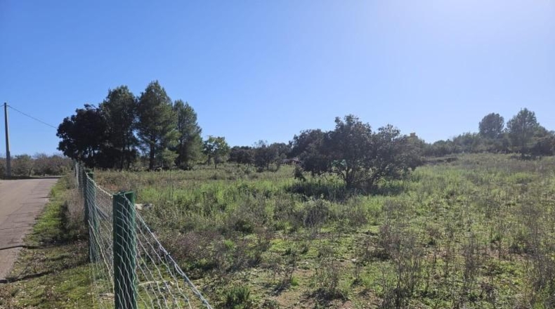Castellón - Vall d'Alba - 8409m2
