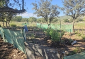 Land suitable for development for sale on España, la Vall d'Alba, ref: TR364866 photo
