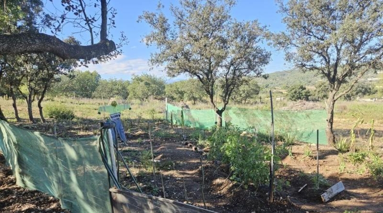Castellón - Vall d'Alba - 8409m2