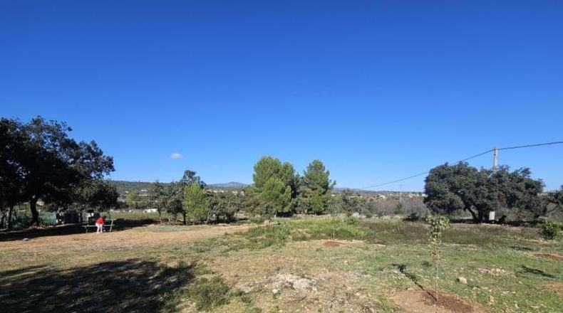 Castellón - Vall d'Alba - 8409m2