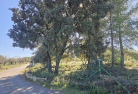 la Vall d'Alba 8409&nbsp;m² 
