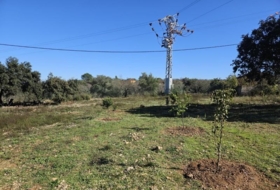 la Vall d'Alba 8409&nbsp;m² 