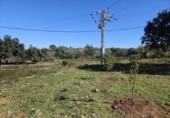Land suitable for development for sale on España, la Vall d'Alba, ref: TR364866 photo
