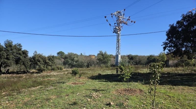 Castellón - Vall d'Alba - 8409m2