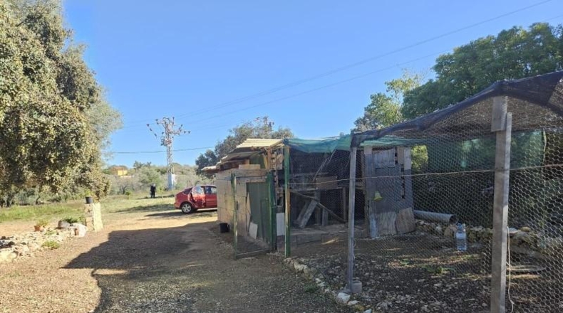Castellón - Vall d'Alba - 8409m2
