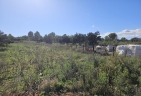 la Vall d'Alba 8409&nbsp;m² 