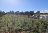 Land suitable for development for sale on España, la Vall d'Alba, ref: TR364866 photo