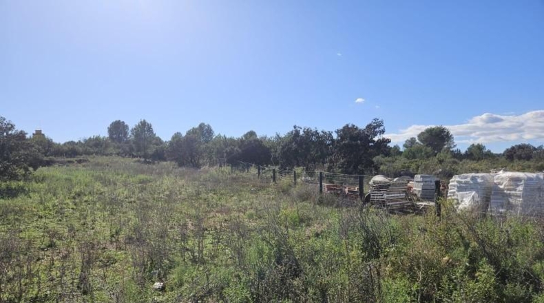 Castellón - Vall d'Alba - 8409m2