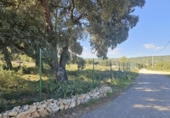 Land suitable for development for sale on España, la Vall d'Alba, ref: TR364866 photo