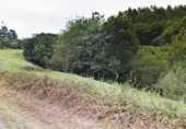 Non-developable land for sale on España, Santa María de Cayón, ref: TR117571 photo