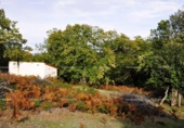 Non-developable land for sale on España, Huelva, ref: TR319470 photo