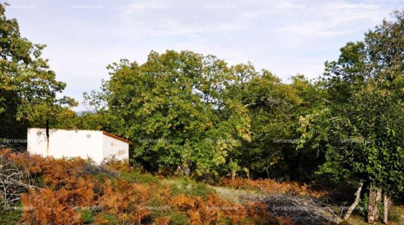 Huelva - Almonaster la Real - 13821m2