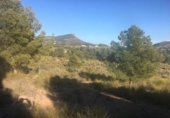 Parcel·la urbanitzable en venda a la España, Aledo, ref.: TR198236 foto
