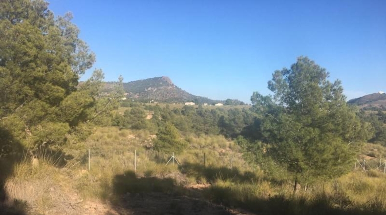 Murcia - Aledo - 5517m2