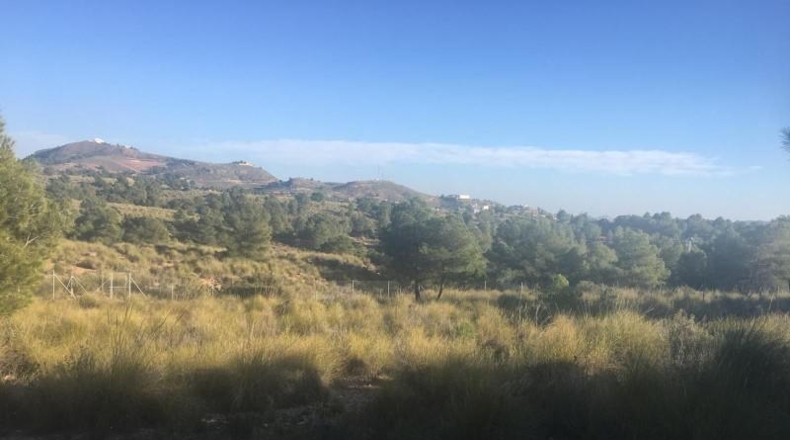 Murcia - Aledo - 5517m2