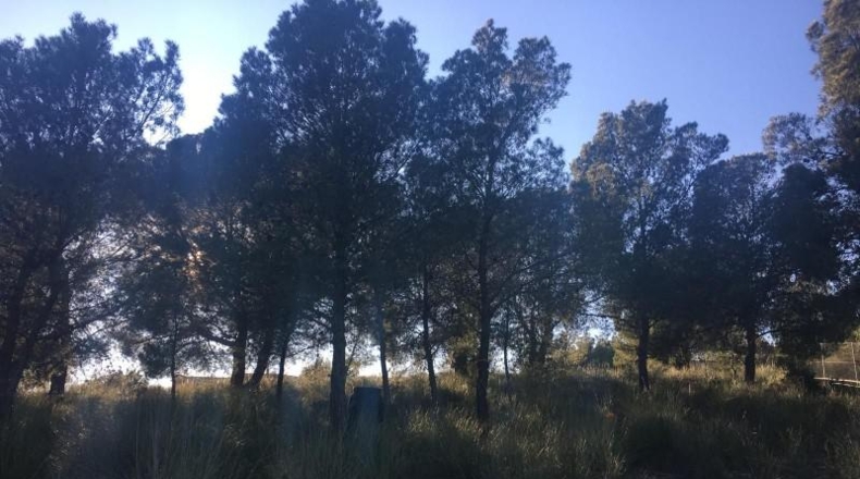 Murcia - Aledo - 5517m2