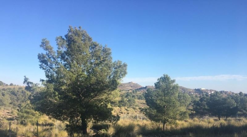 Murcia - Aledo - 5517m2