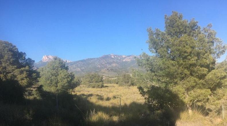 Murcia - Aledo - 5517m2