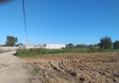 Terreny no urbanitzable en venda a la España, Chiclana de la Frontera, ref.: TR402432 foto
