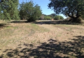 Non-developable land for sale on España, Lloseta, ref: TR115261 photo