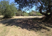 Non-developable land for sale on España, Lloseta, ref: TR115261 photo