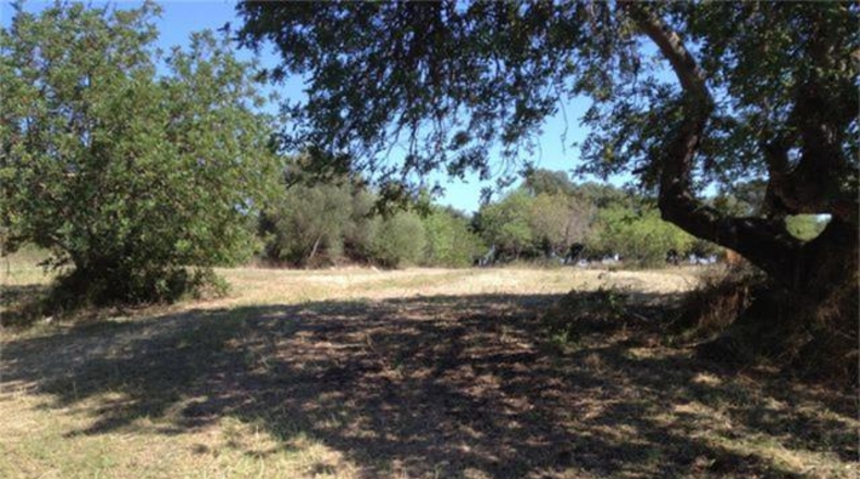 Balearic Islands - Alaró - 2200m2