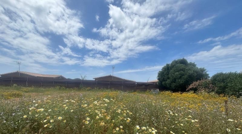 Cádiz - Barbate - 800m2