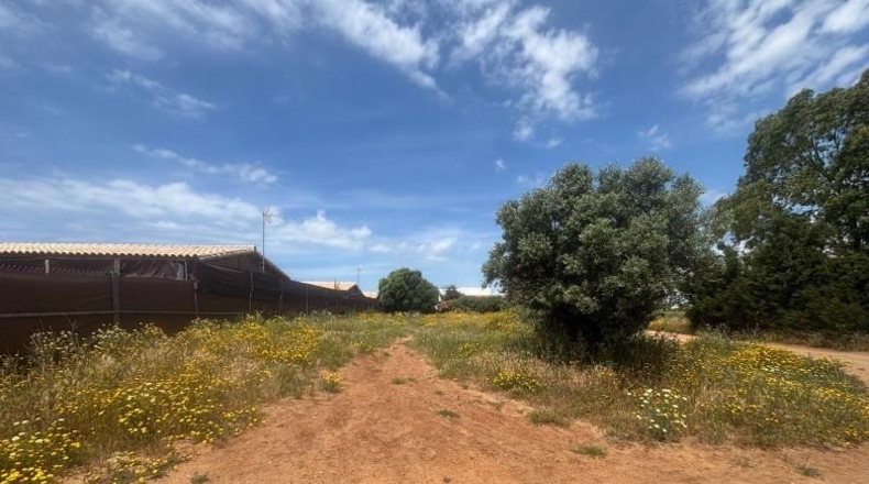 Cádiz - Barbate - 800m2