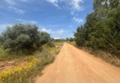 Terreny no urbanitzable en venda a la España, Barbate, ref.: TR407768 foto
