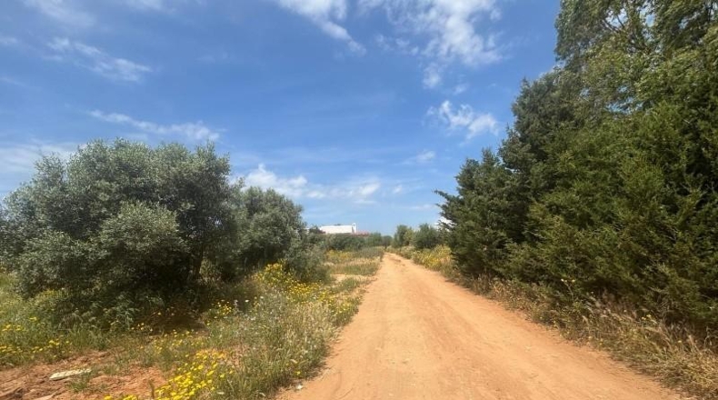 Cádiz - Barbate - 800m2