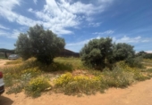 Terreny no urbanitzable en venda a la España, Barbate, ref.: TR407768 foto