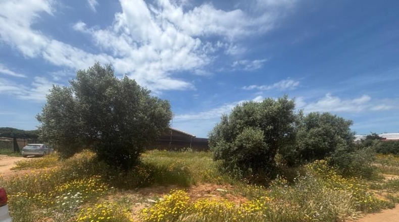 Cádiz - Barbate - 800m2