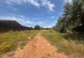 Terreny no urbanitzable en venda a la España, Barbate, ref.: TR407768 foto