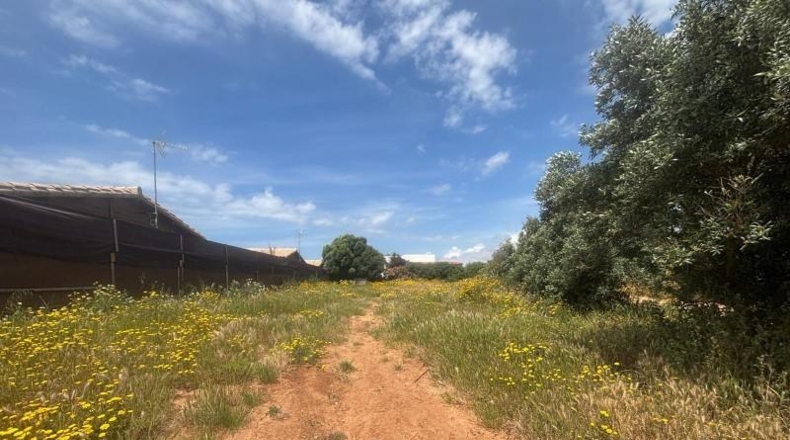 Cádiz - Barbate - 800m2