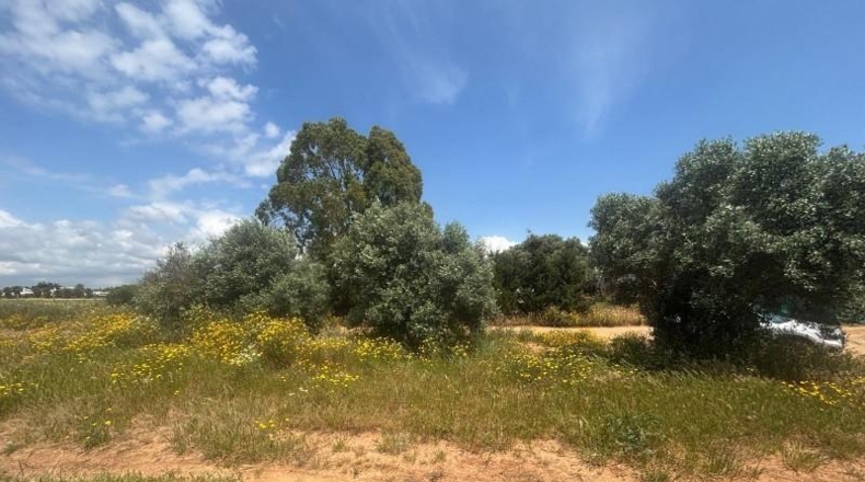 Cádiz - Barbate - 800m2