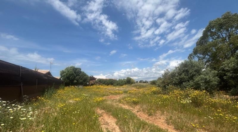 Cádiz - Barbate - 800m2