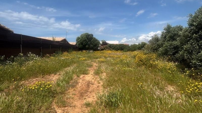 Cádiz - Barbate - 800m2