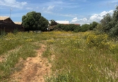 Terreny no urbanitzable en venda a la España, Barbate, ref.: TR407768 foto